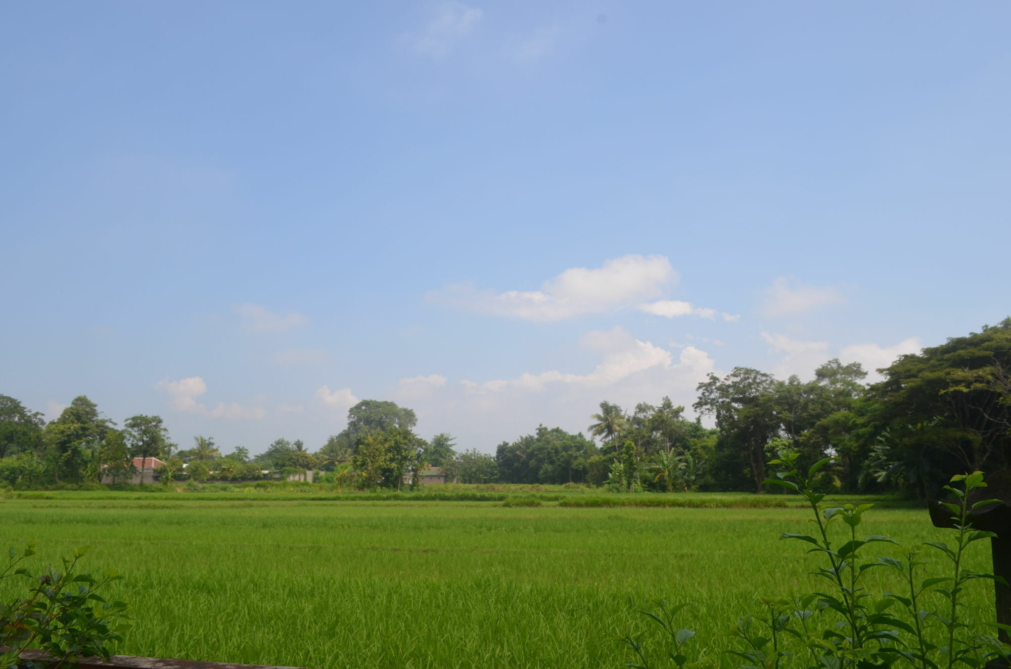 Poeri Devata Resort Hotel Prambanan Eksteriør bilde